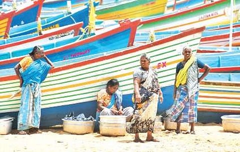 The SAF recently launched the distribution of rolling funds to 1,000 fisherwomen in Kollam and Alappuzha. (Photo | EPS/B P Deepu)