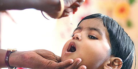Representational image (File Photo | TP Sooraj, EPS)