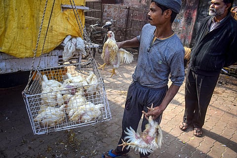 Image for representational purpose only(FILE | PTI)