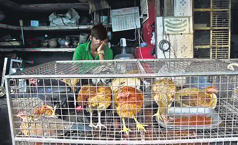 Image used for representational purposes.