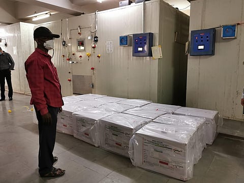 These vials will be transported to various Regional Vaccine Centres from Tuesday evening onwards. (Photo| EPS)