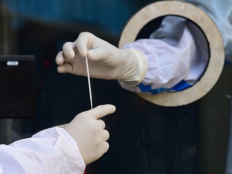 A health worker collects swab sample in a tube for the COVID-19 test. (Photo | PTI)