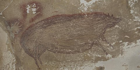 A dated pig painting at Leang Tedongnge in Sulawesi touted to be the world's oldest. (Photo| AFP)