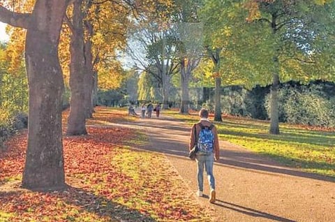 For representational purposes