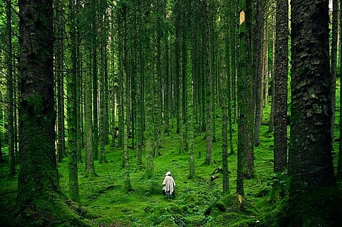 For representational purposes