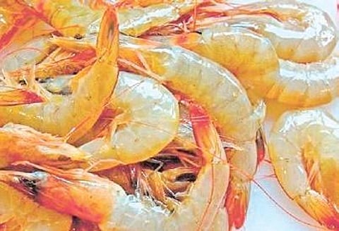 For representational purposes