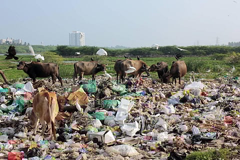 50 tankers with a capacity of 9000 litres each discharge sewage. (Photo | Ashwin Prasath, EPS)