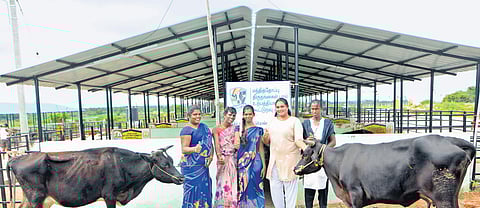 Photos: V Karthikalagu