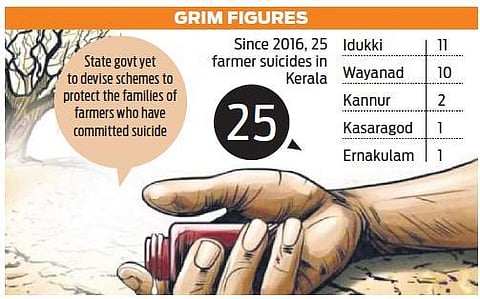 Debts claimed 25 farmers’ lives in four years
