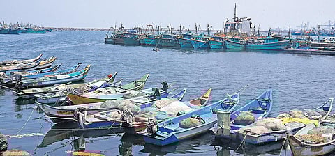 Boats docked at Kasimedu fishing harbour in Chennai | Shiba Prasad Sahu