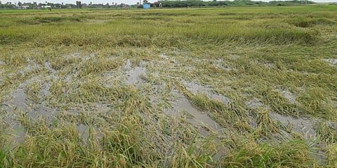 Image used for representational purpose only.