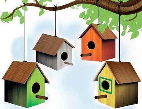 Panchayat orders closure of unlicensed resorts