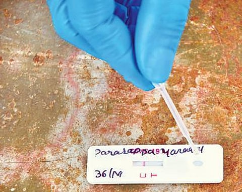 Recovered Covid patients may be immune to new virus strains