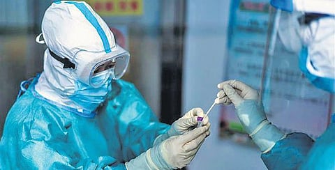 A healthcare worker collects a swab sample for Covid-19 testing | PTI