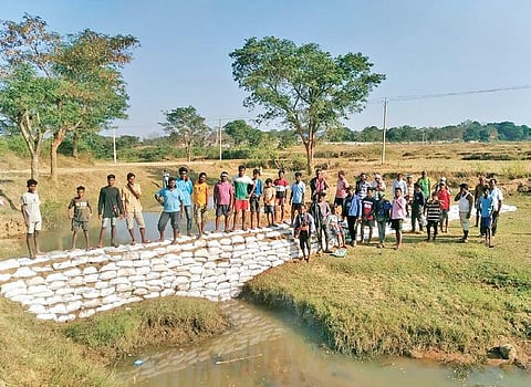 From paddy, wheat, mustard to sweet corn, watermelon and various other vegetables and fruits began to flourish in their fields with the help of bori bandhs (low cost check dams). (Photo | EPS)