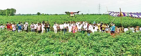 Agricultural experts from the Professor Jayashankar Telangana State Agricultural University and a private company test out a drone in a farm