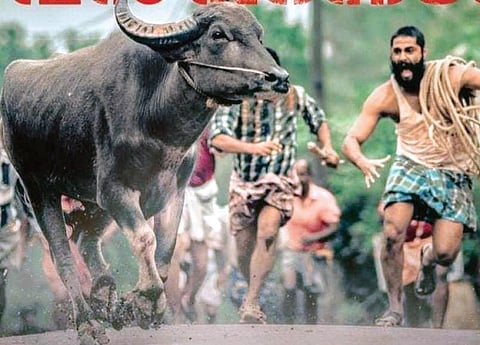 A still from Jallikattu