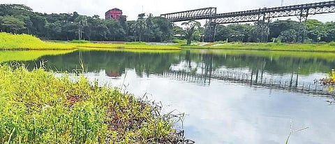 A water body polluted by oily discharge released from MRPL at Thokur in Mangaluru