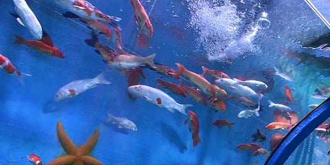 For representational purposes (Photo | EPS)