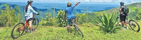 Of misty mountains and tea