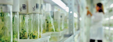 The bank will make available all information about a plant by a click of a mouse.