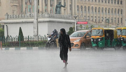 Photo | Ashishkrishna HP