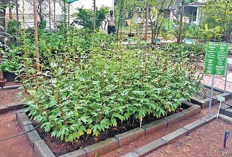 Image used for representative purpose.