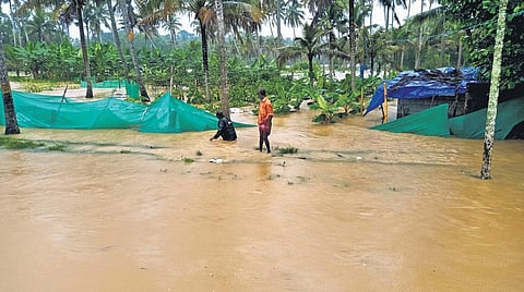 Several houses and hundreds of acres of farms were inundated in the heavy rain at Arattukadavu in Vellayani | Vincent Pulickal