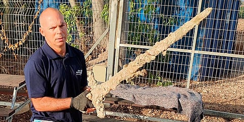 Nir Distelfeld, Inspector for the Israel Antiquities Authority holds an ancient sword after it was discovered by a diver off the country's Mediterrean coast near Haifa, Oct 14, 2021. (Photo | AP)