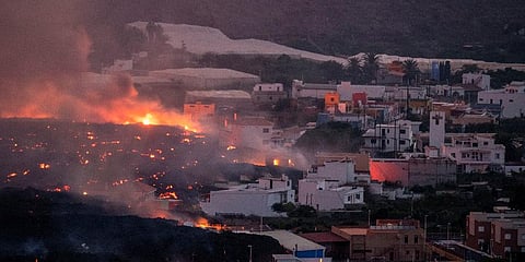 Lava flows from a volcano destroying houses at La Laguna neighbourhood on the Canary island of La Palma, Spain on Thursday Oct. 21, 2021. (Photo | AP)