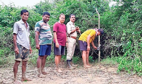 Camera traps being installed in Bhitarkanika National Park | Express