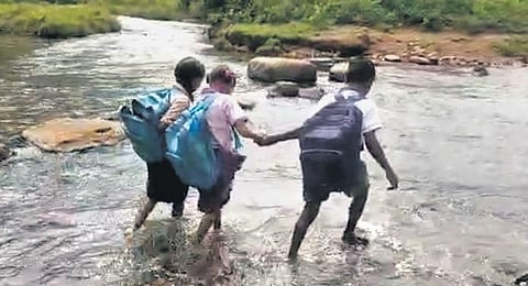 A screen grab of children crossing a rivulet to reach school at Panasapalli. (Photo | Express)