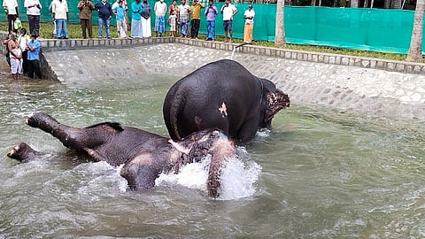 Aandal and Lakshmi (Photo | Special arrangement)