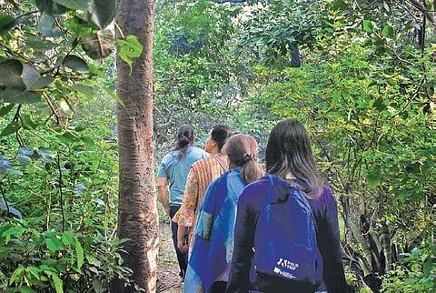 Walk leader Verhaen Khanna takes the attendees through the Kamla Nehru Ridge while they identify tree species on their way. (Photo | Anjani Chadha)
