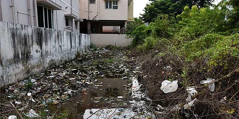An ill-maintained plot at Bharathi Nagar in Tiruchy on Wednesday | M K Ashok Kumar