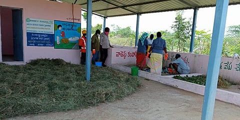 Garbage segregation and organic manure making unit at Chandubatla village in Telangana. (Photo| EPS)
