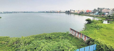 The Sembakkam lake that has been taken up by conservationists to provide a restoration solution through nature-based treatment system | Ashwin Prasath