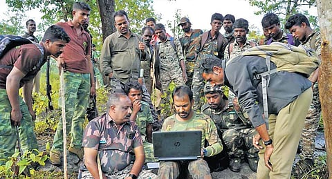 Officials plan their strategy; camera traps have detected three more tigers nearby.
