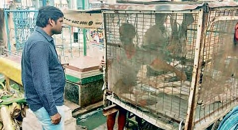 Image used for representational purpose only.