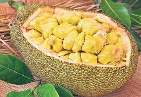 Export of value-added products flagged off