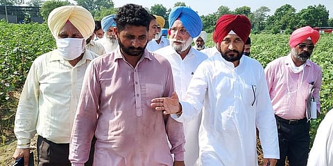 Punjab Chief Minister Charanjit Singh Channi interacts with a farmer as he inspects the cotton crops damaged by the pink locust at Katar Singhwala village, Sept 27, 2021. (Photo | ANI)