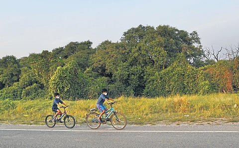 Cycle with Kochi aims to make city greener with scientific initiatives