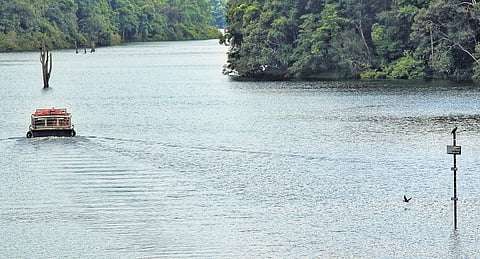 A view of the Mullaiperiyar reservoir in Kerala | File photo