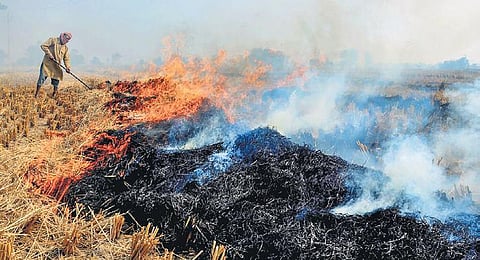 Fumes from crop stubble burning add up to the concentration of pollutants. (Photo | PTI)