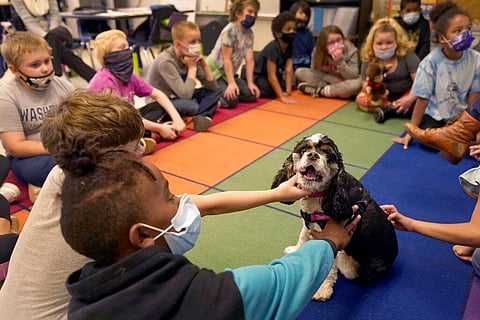 Tillie the therapy dog sits among third graders at Quincy Elementary School, Wednesday, Nov. 3, 2021, in Topeka. (Photo | AP)