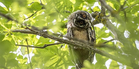 Image used for representational purpose only.