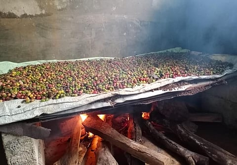 The wood fire installed by coffee grower Vikas to dry beans.