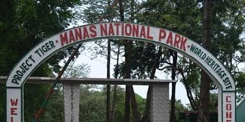 Manas National Park (Photo | YouTube Screengrab)