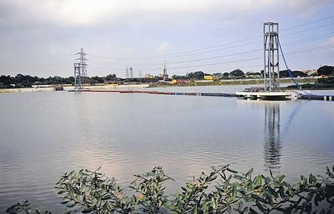 Villivakkam lake | DEBADATTA MALLICK