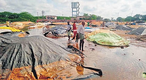 Farmers helplessly watch over their piles of produce damaged in the rains at the Mahatmanagar procurement centre in Karimnagar districton Tuesday, Nov 16, 2021. (Photo | EPS)